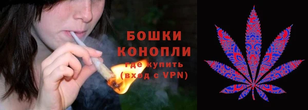 стафф Инсар